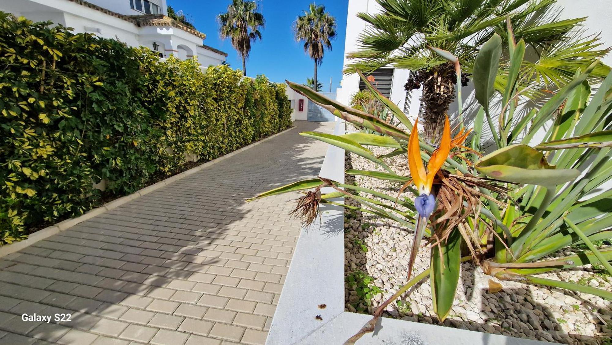 Boutelou Playa Con Vistas Al Mar Apartment Sanlúcar de Barrameda Екстериор снимка